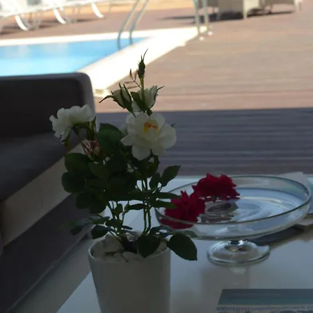 Dome Marina &