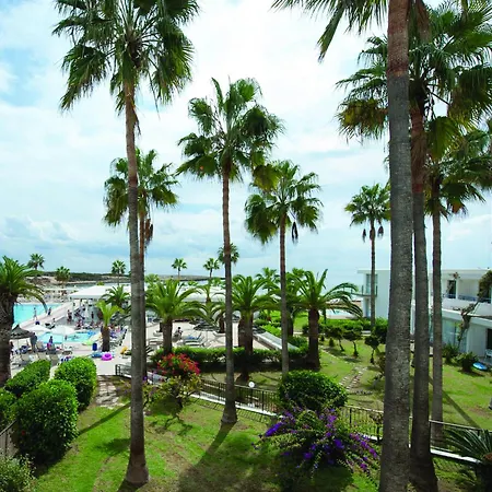 Dome Marina &